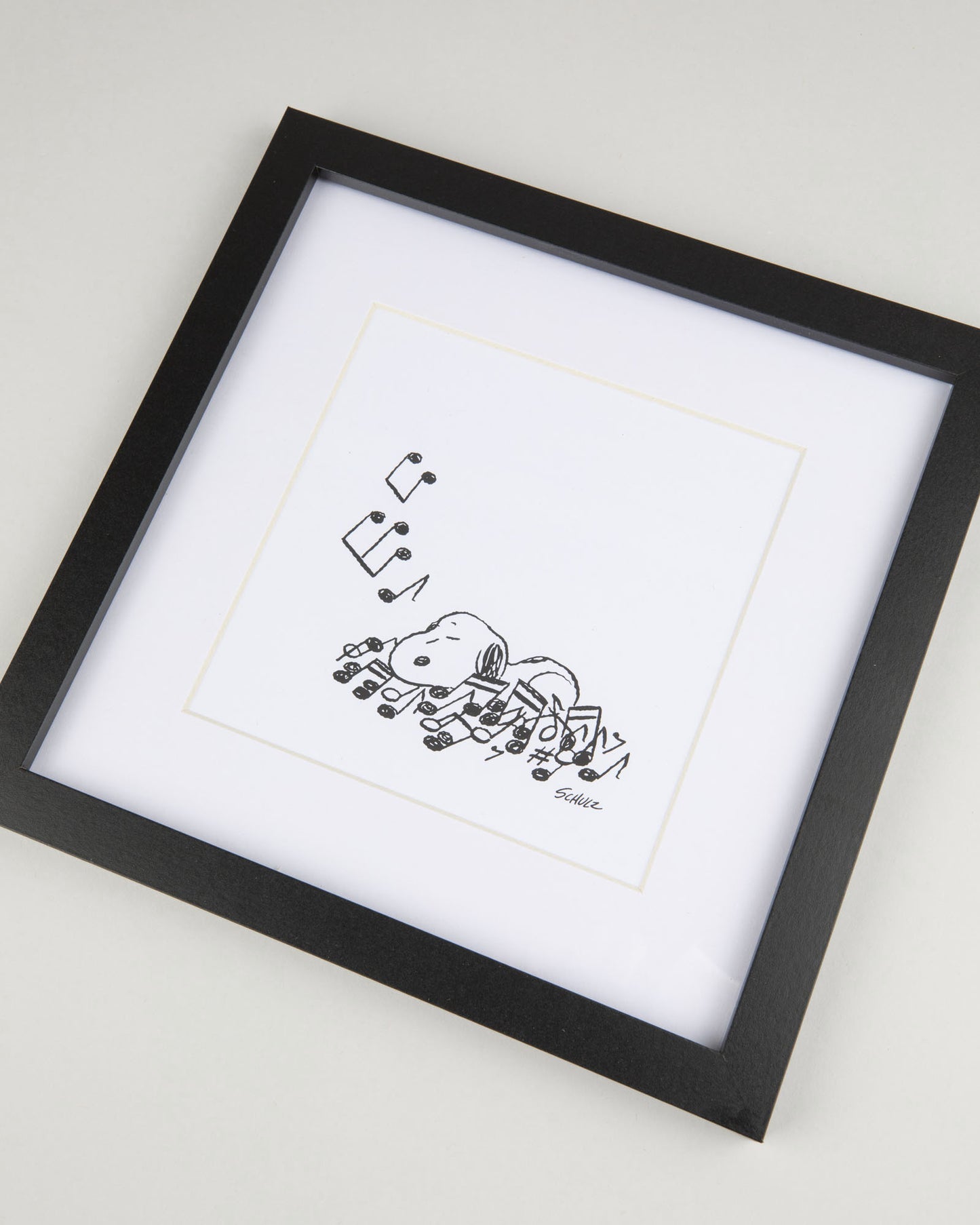 Snoopy Print - Peanut Bed Of Notes